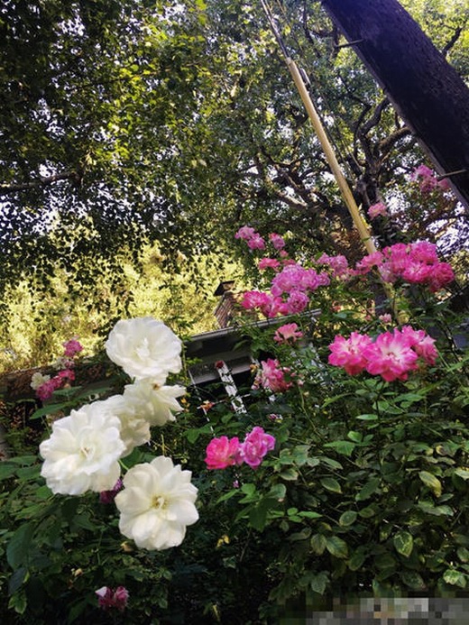 裝修別墅設(shè)計(jì)